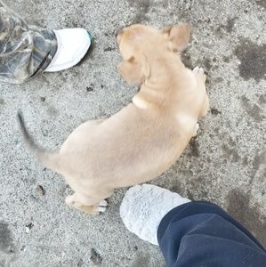 Meet your Posher, Alektra